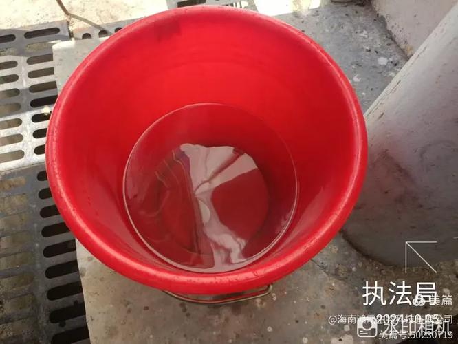 2024年10月5日海南鸿霖生物科技出动防制员对临高县临城镇