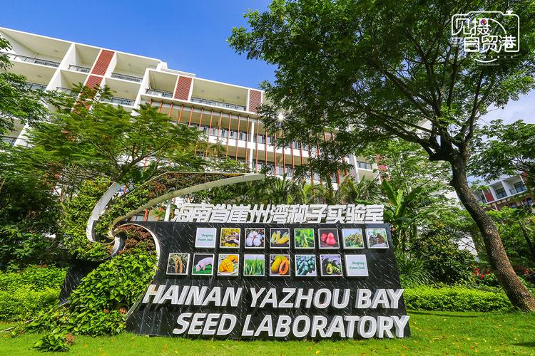 三亚崖州湾科技城:种业和海洋科技新高地