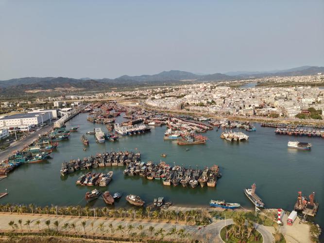 省国资委刘凤花副主任赴崖州湾科技城调研